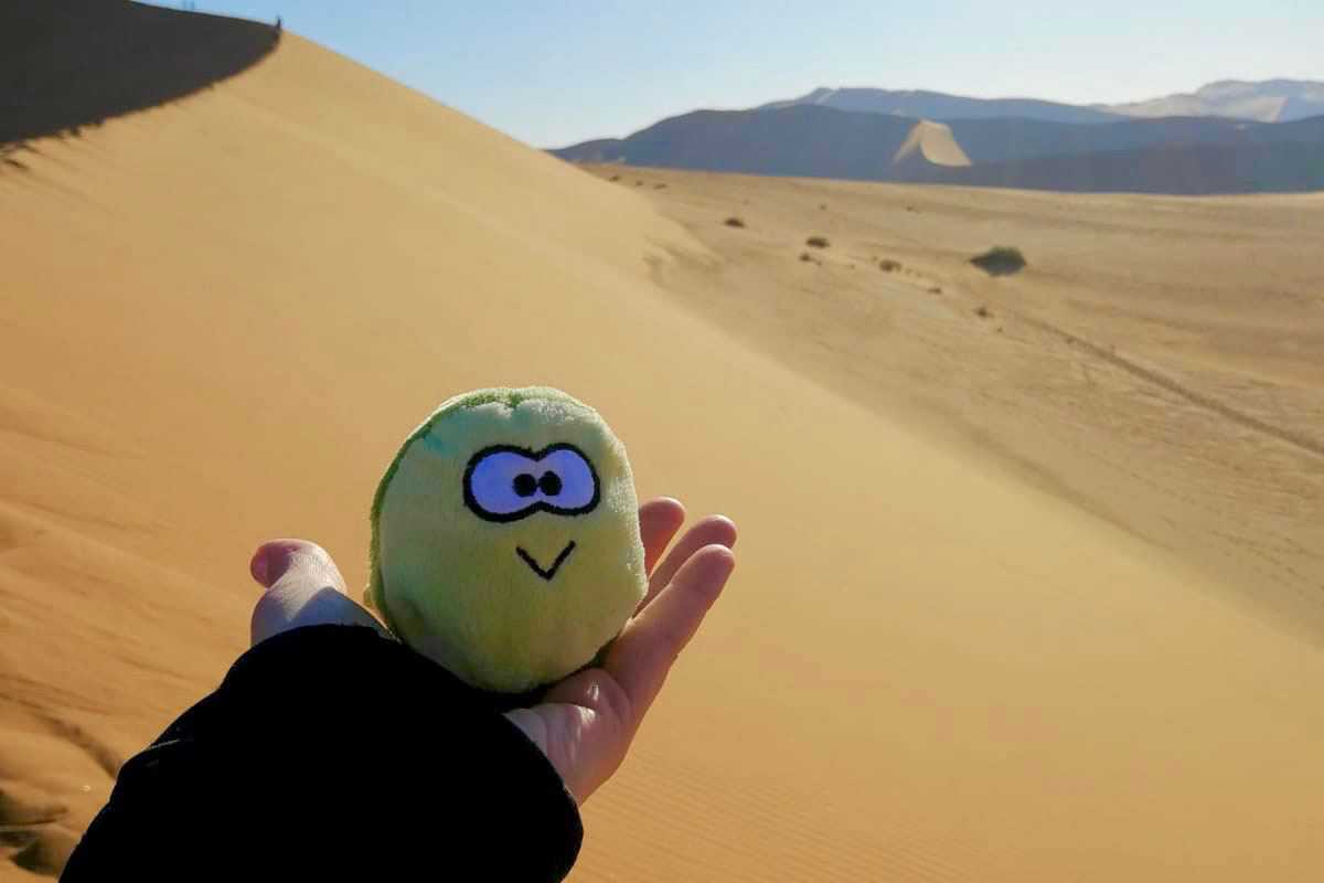 Reisebuero Kopp Namibia