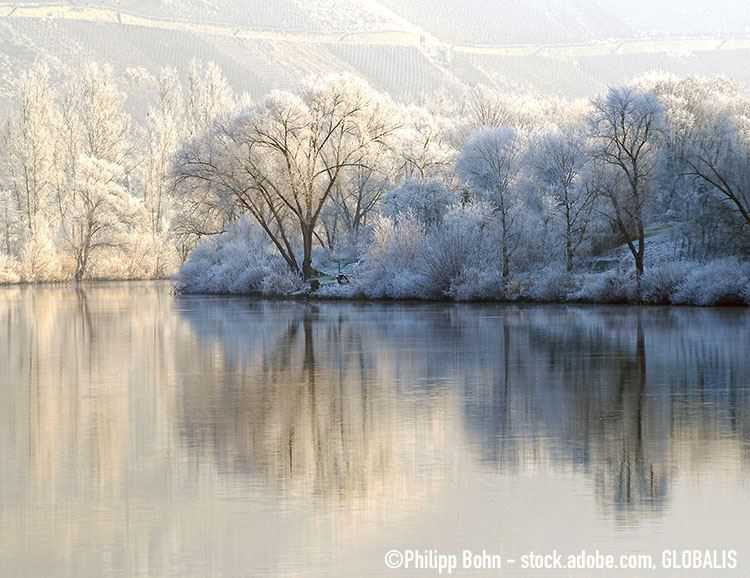 Winterlandschaft Mosel Winterlandschaft Mosel